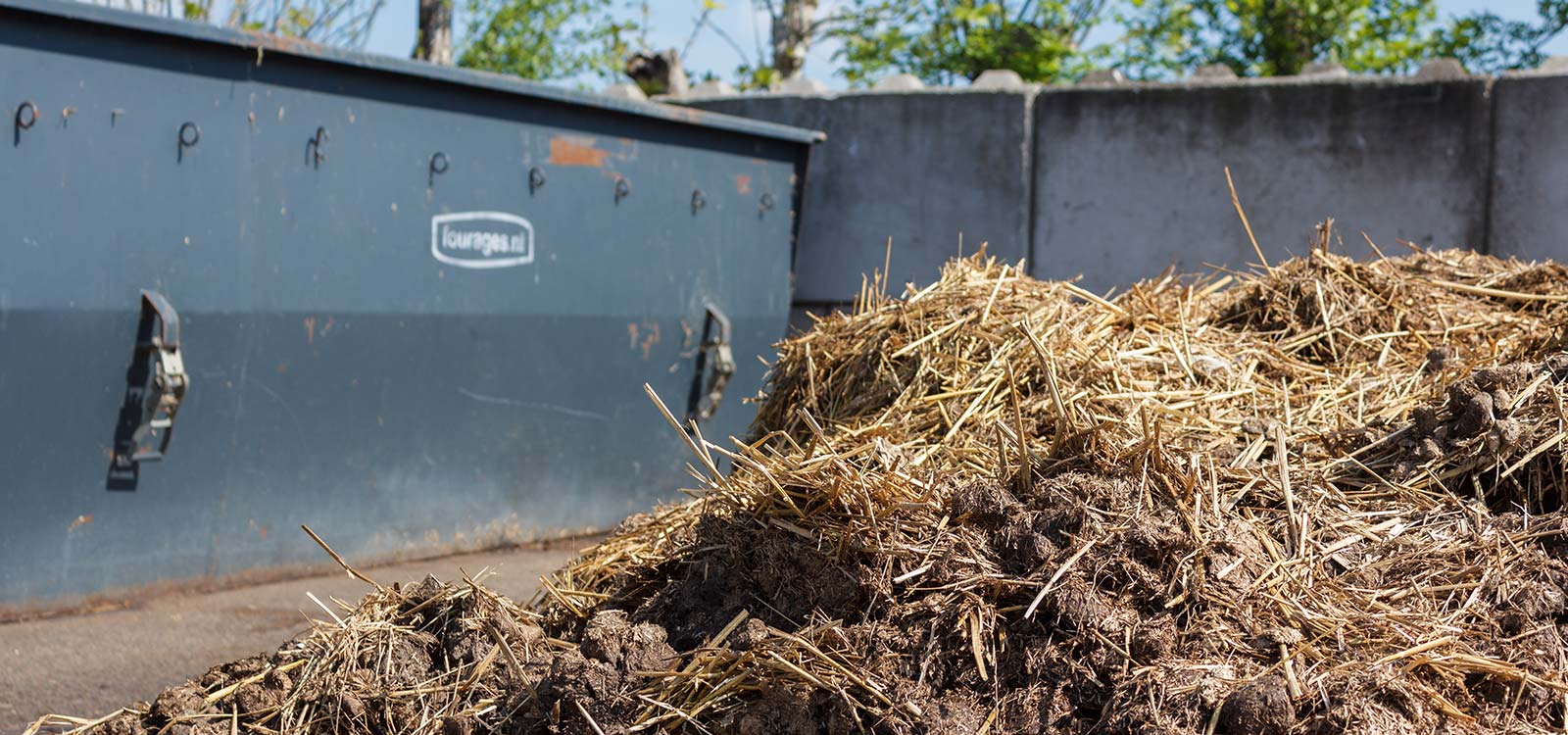 paard-aan-huis-waarop-letten-mestafvoer-header