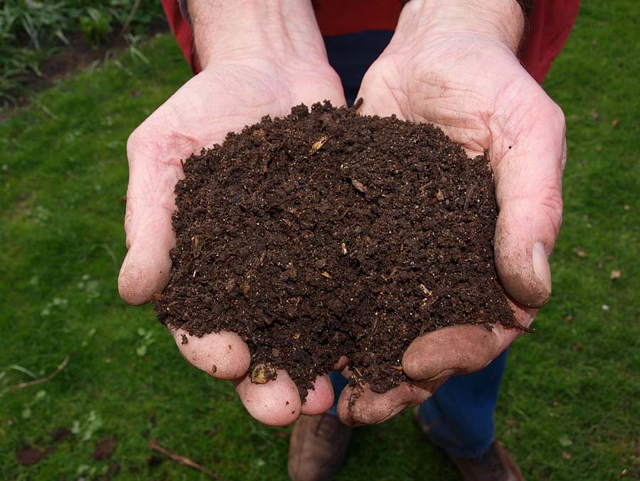 hand-met-compost